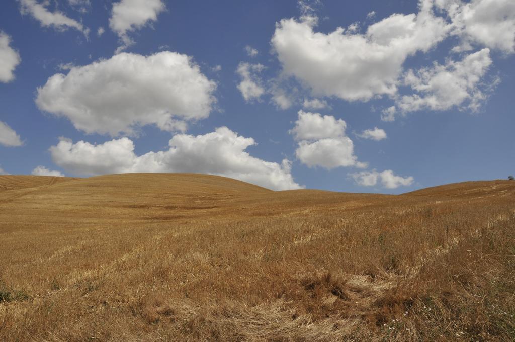 וולטרה Agriturismo Podere Campaini מראה חיצוני תמונה