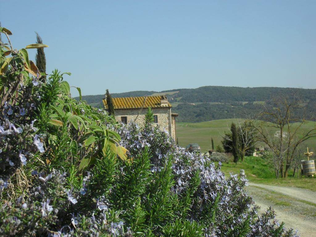 וולטרה Agriturismo Podere Campaini מראה חיצוני תמונה